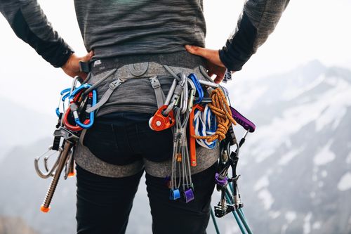 Harnesses